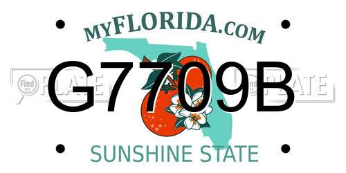 G7709B Florida License Plate