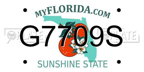 G7709S Florida License Plate