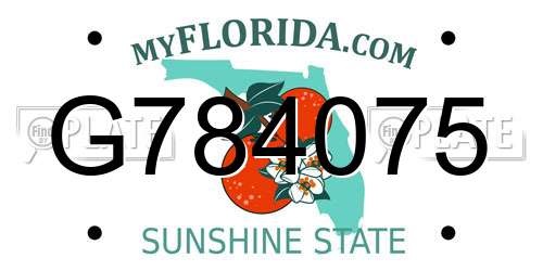 G784075 Florida License Plate