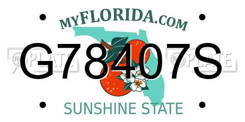 G78407S Florida License Plate
