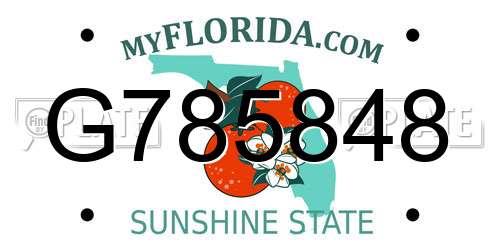 G785848 Florida License Plate