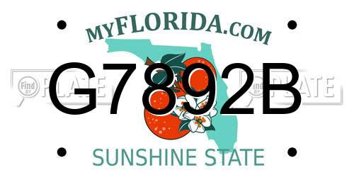 G7892B Florida License Plate