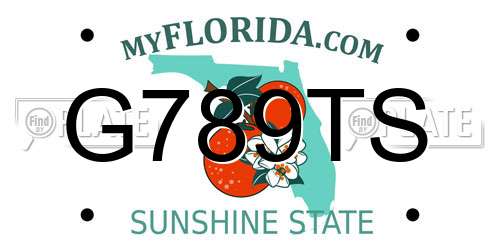 G789TS Florida License Plate