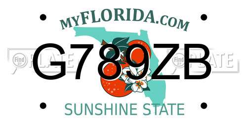 G789ZB Florida License Plate