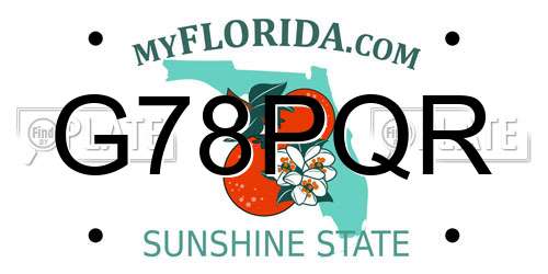 G78PQR Florida License Plate