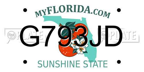 G793JD Florida License Plate