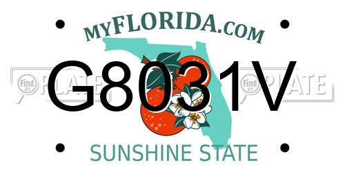 G8031V Florida License Plate