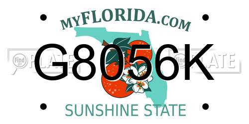 G8056K Florida License Plate