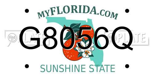 G8056Q Florida License Plate
