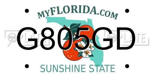 G805GD Florida License Plate