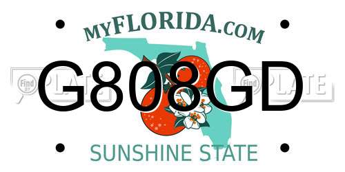 G808GD Florida License Plate