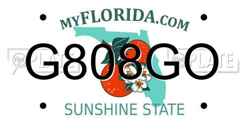 G808GO Florida License Plate