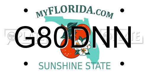 G80DNN Florida License Plate