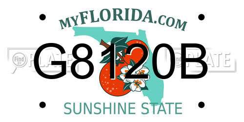 G8120B Florida License Plate
