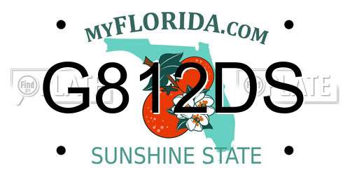 G812DS Florida License Plate