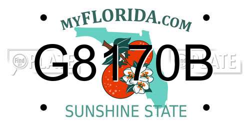 G8170B Florida License Plate