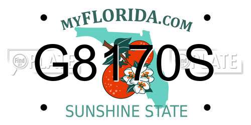 G8170S Florida License Plate