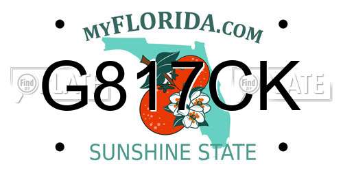 G817CK Florida License Plate