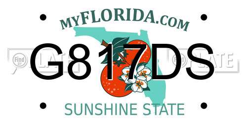 G817DS Florida License Plate