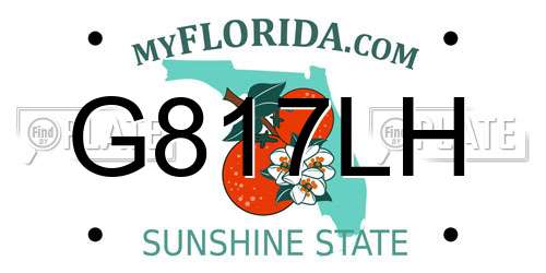 G817LH Florida License Plate