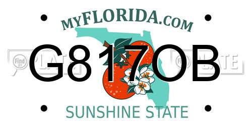 G817OB Florida License Plate