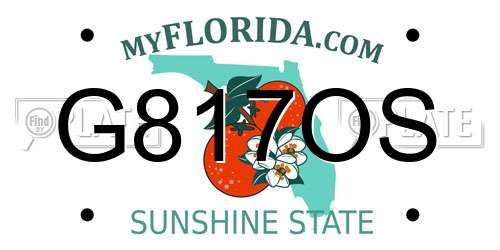G817OS Florida License Plate