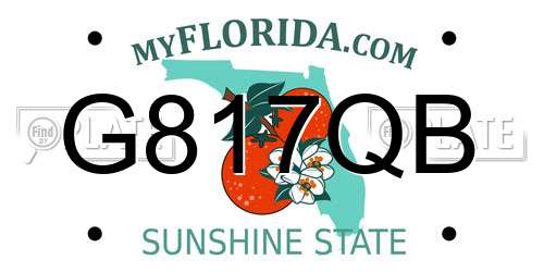 G817QB Florida License Plate