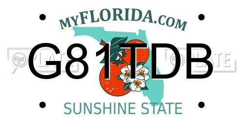 G81TDB Florida License Plate