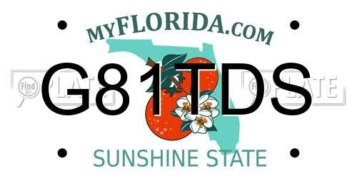 G81TDS Florida License Plate