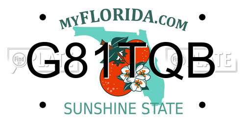 G81TQB Florida License Plate
