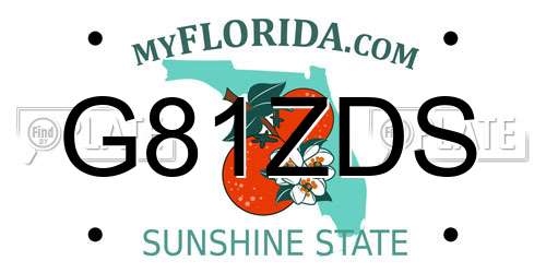 G81ZDS Florida License Plate