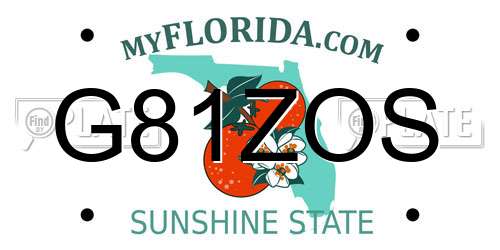 G81ZOS Florida License Plate