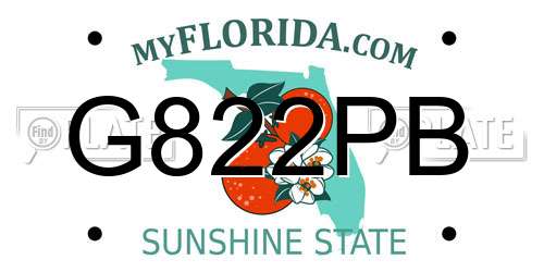 G822PB Florida License Plate