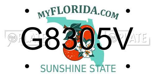 G8305V Florida License Plate