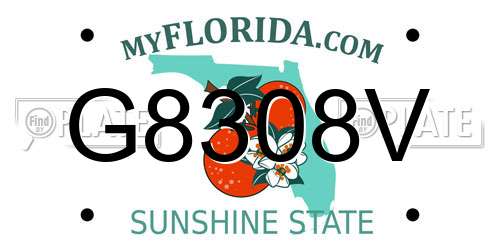 G8308V Florida License Plate