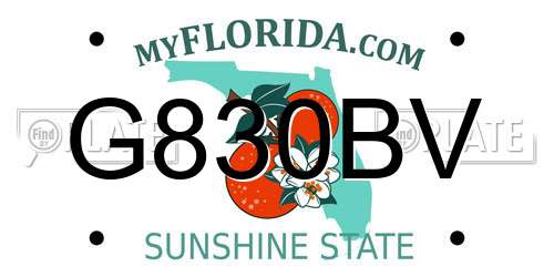 G830BV Florida License Plate