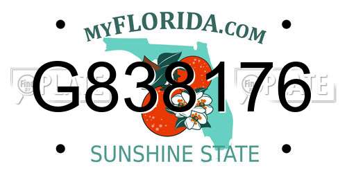 G838176 Florida License Plate