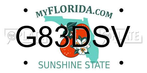 G83DSV Florida License Plate
