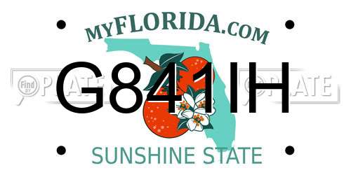 G841IH Florida License Plate