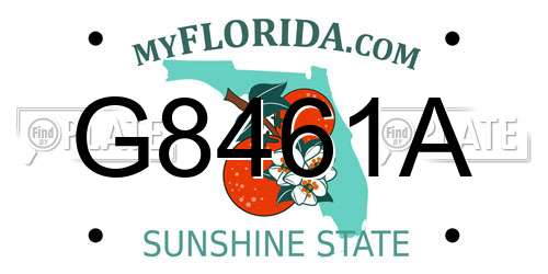 G8461A Florida License Plate