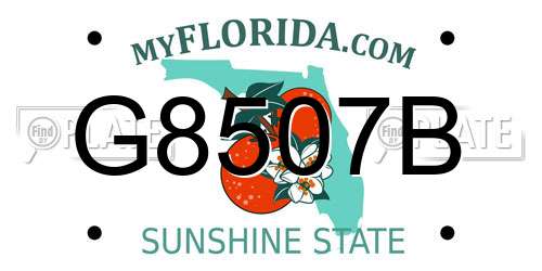 G8507B Florida License Plate