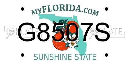 G8507S Florida License Plate