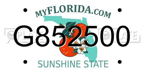 G852500 Florida License Plate