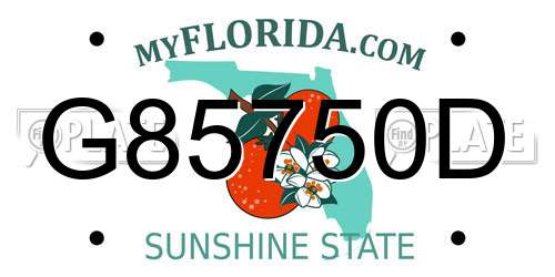 G85750D Florida License Plate