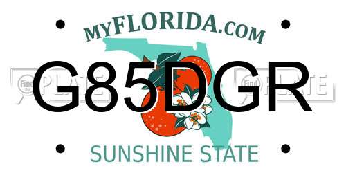 G85DGR Florida License Plate