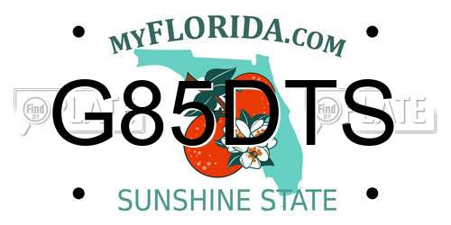 G85DTS Florida License Plate