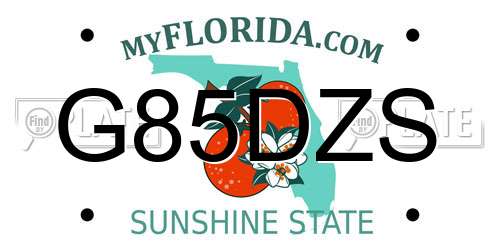 G85DZS Florida License Plate