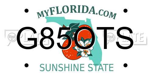 G85OTS Florida License Plate