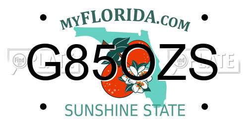 G85OZS Florida License Plate