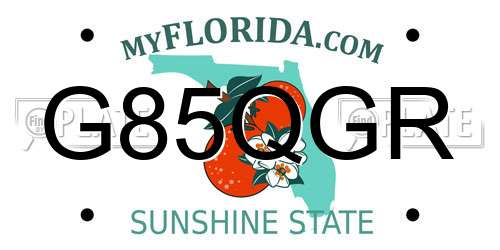 G85QGR Florida License Plate
